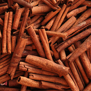 cinnamon bark oil bio