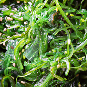 seaweed absolute