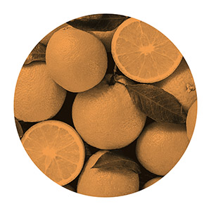 orange enriched, spain, valencia type